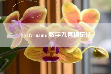 宝鸡数字九宫格玩法