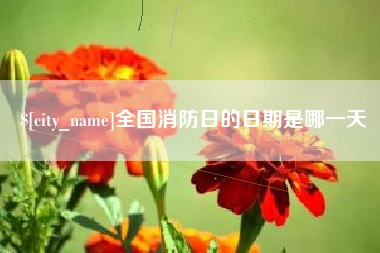 宝鸡全国消防日的日期是哪一天