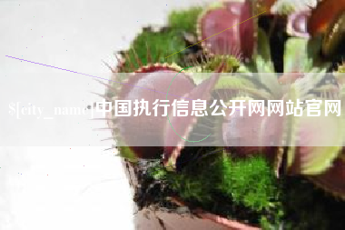 宝鸡中国执行信息公开网网站官网
