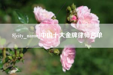 宝鸡中国十大金牌律师名单
