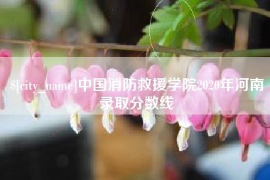 宝鸡中国消防救援学院2020年河南录取分数线