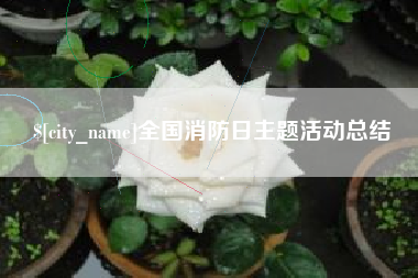 宝鸡全国消防日主题活动总结