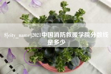 宝鸡2021中国消防救援学院分数线是多少