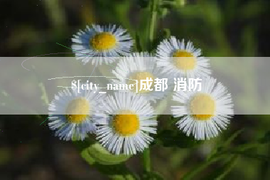 宝鸡成都 消防