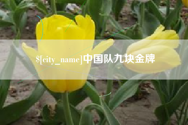 宝鸡中国队九块金牌