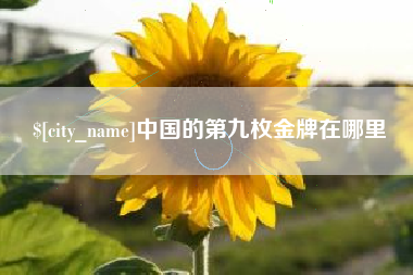 宝鸡中国的第九枚金牌在哪里