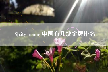 宝鸡中国有几块金牌排名
