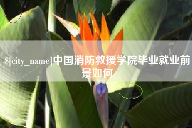 宝鸡中国消防救援学院毕业就业前景如何