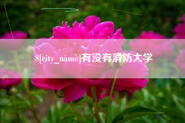 宝鸡有没有消防大学