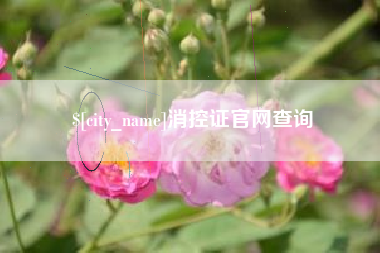 宝鸡消控证官网查询