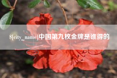 宝鸡中国第九枚金牌是谁得的