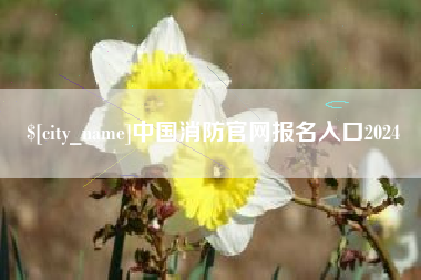 宝鸡中国消防官网报名入口2024
