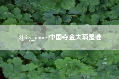 宝鸡中国夺金大项是谁