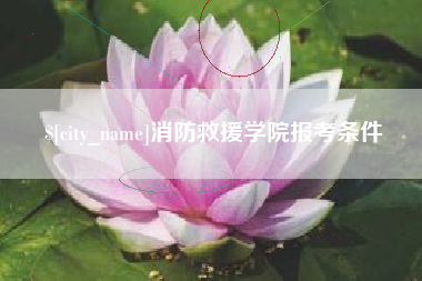 宝鸡消防救援学院报考条件