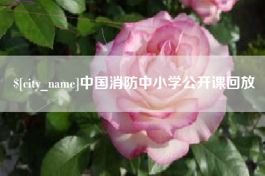 宝鸡中国消防中小学公开课回放