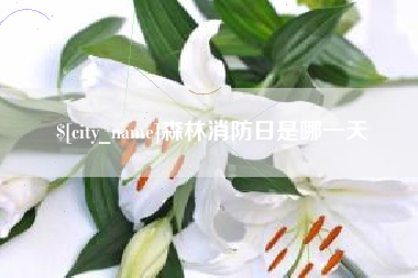 宝鸡森林消防日是哪一天