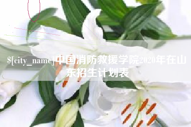 宝鸡中国消防救援学院2020年在山东招生计划表