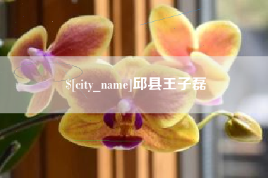宝鸡邱县王子磊