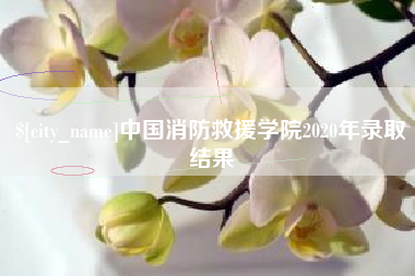 宝鸡中国消防救援学院2020年录取结果