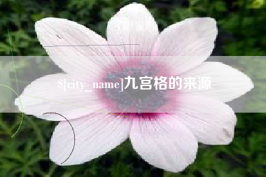 宝鸡九宫格的来源