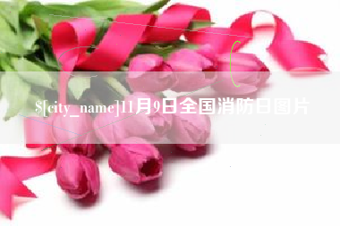 宝鸡11月9日全国消防日图片
