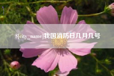 宝鸡我国消防日几月几号