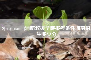 宝鸡消防救援学院报考条件湖南招生多少分