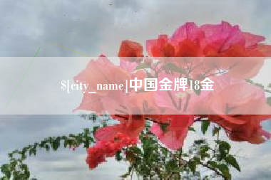 宝鸡中国金牌18金