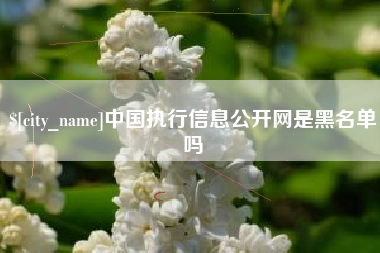 宝鸡中国执行信息公开网是黑名单吗