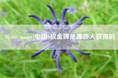 宝鸡中国6枚金牌是哪些人获得的