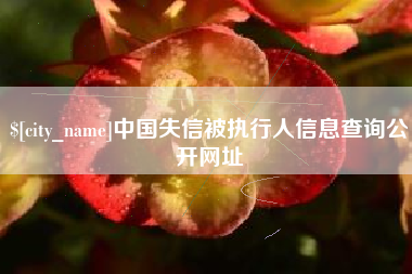 宝鸡中国失信被执行人信息查询公开网址