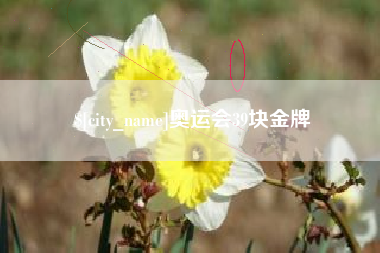 宝鸡奥运会39块金牌