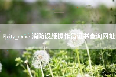 宝鸡消防设施操作员证书查询网址