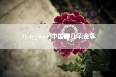 宝鸡中国哪几项金牌