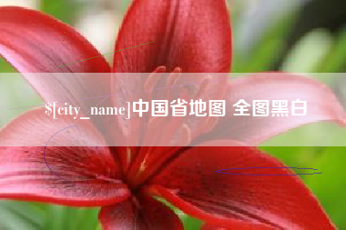 宝鸡中国省地图 全图黑白