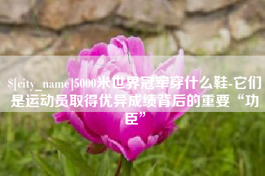 宝鸡5000米世界冠军穿什么鞋-它们是运动员取得优异成绩背后的重要“功臣”