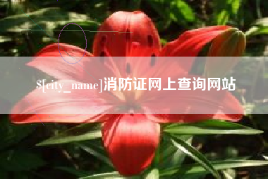 宝鸡消防证网上查询网站