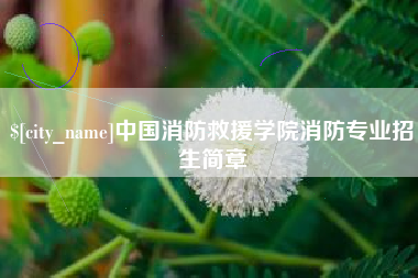 宝鸡中国消防救援学院消防专业招生简章