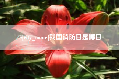 宝鸡我国消防日是哪日