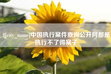 宝鸡中国执行案件查询公开网都是执行不了得案子