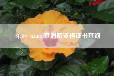 宝鸡查消防资格证书查询