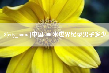 宝鸡中国5000米世界纪录男子多少