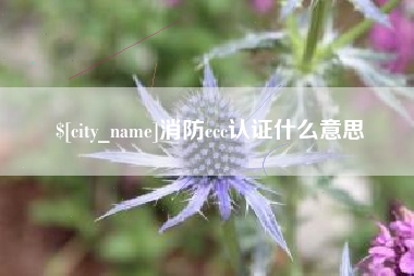 宝鸡消防ccc认证什么意思
