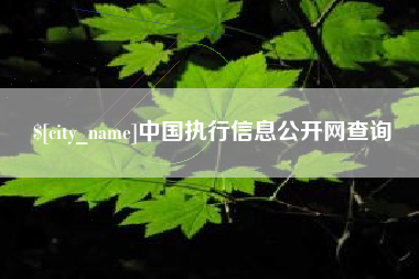 宝鸡中国执行信息公开网查询
