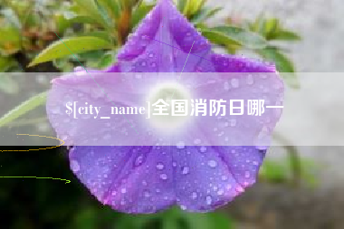 宝鸡全国消防日哪一