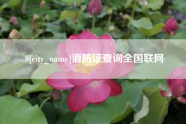 宝鸡消防证查询全国联网