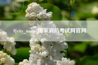 宝鸡国家消防考试网官网