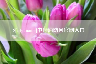 宝鸡中国消防网官网入口