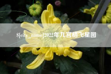 宝鸡2022年九宫格飞星图