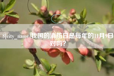 宝鸡我国的消防日是每年的11月9日对吗？
